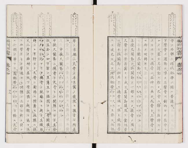 K0021s0119