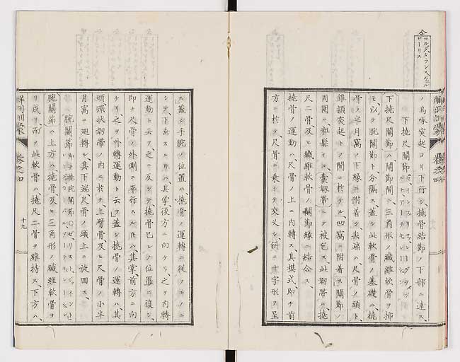 K0021s0120