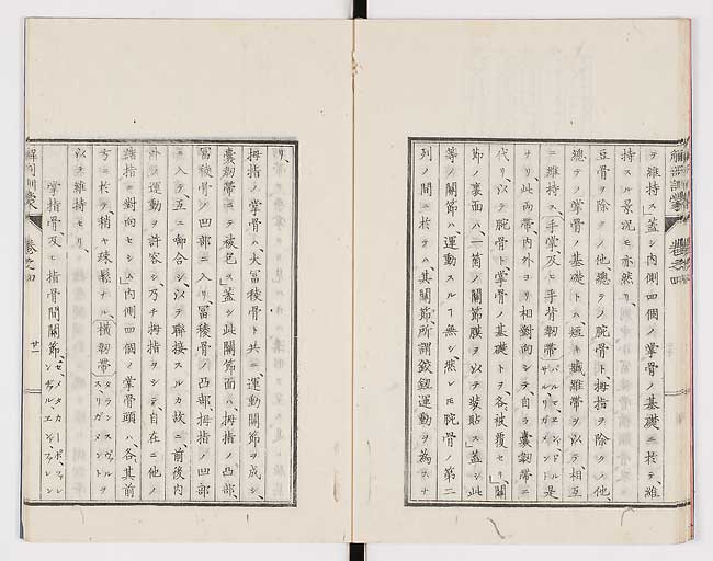K0021s0122