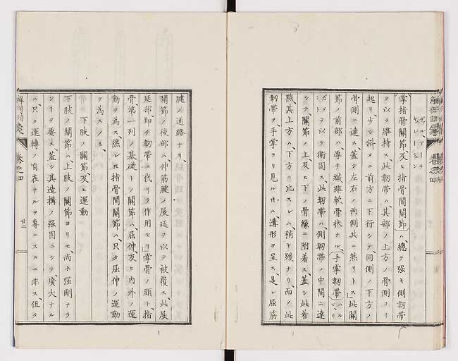 K0021s0123