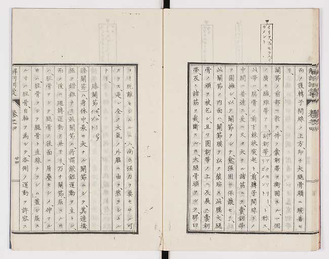 K0021s0125