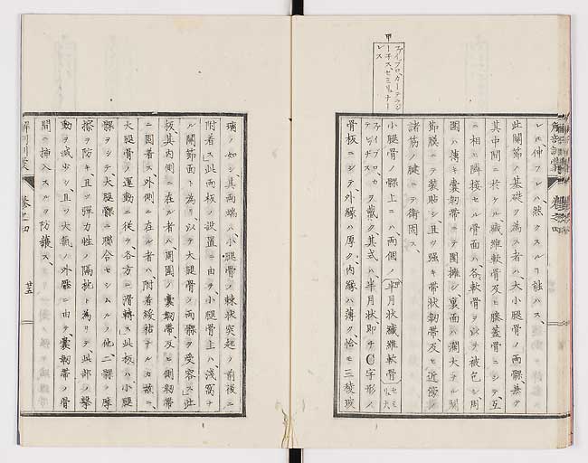 K0021s0126