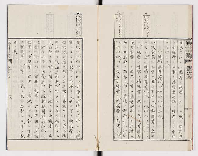 K0021s0129