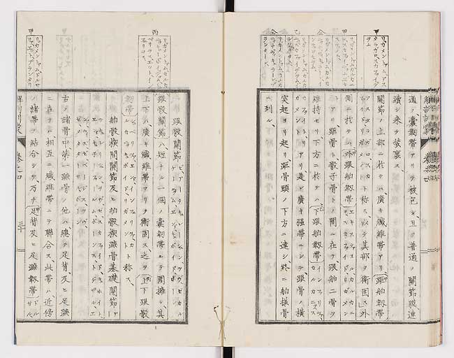 K0021s0131