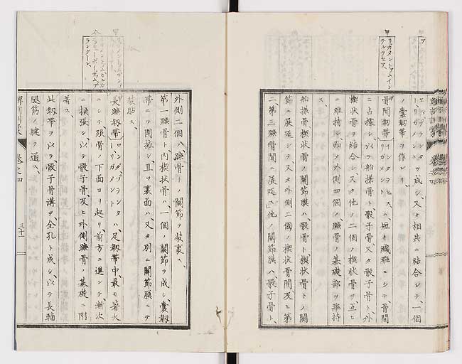 K0021s0132