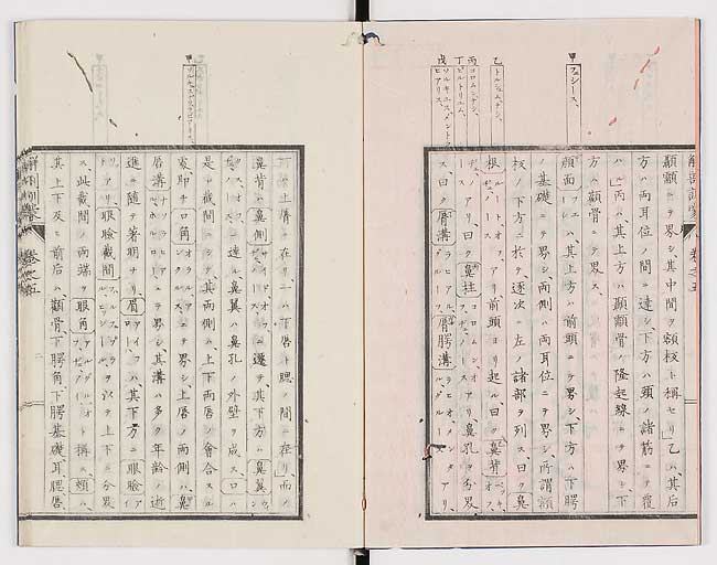 K0021s0137