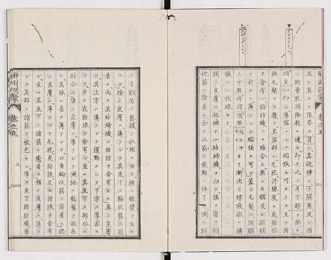 K0021s0138