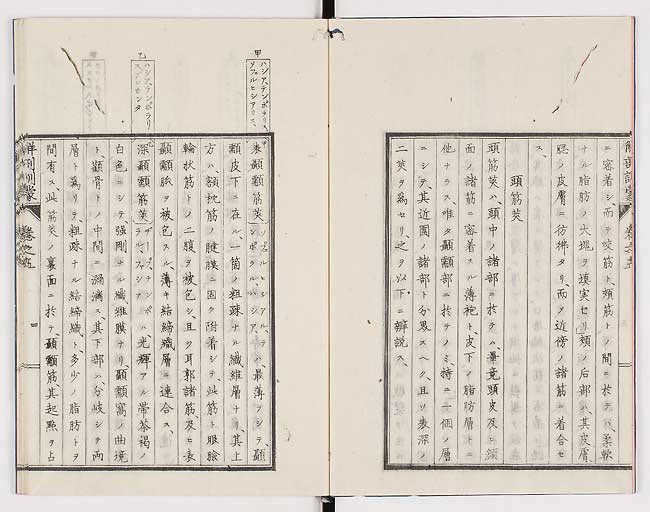 K0021s0139