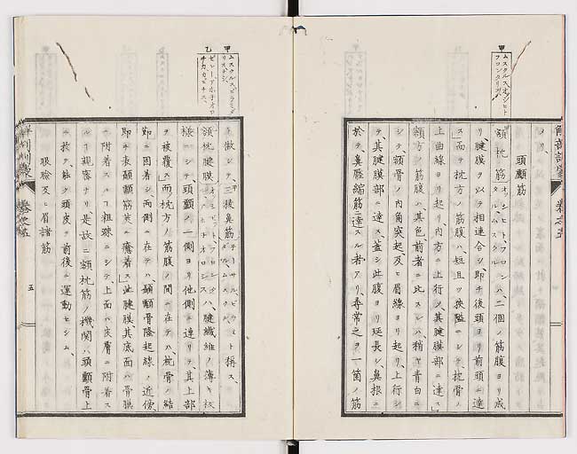 K0021s0140