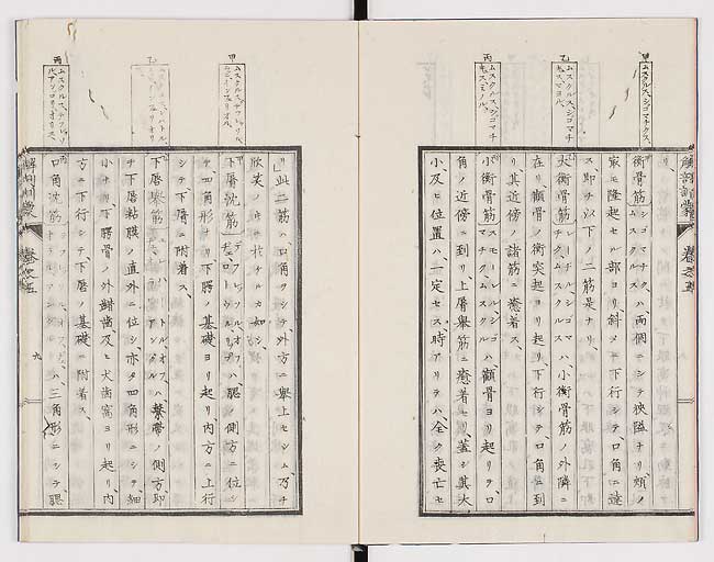 K0021s0144