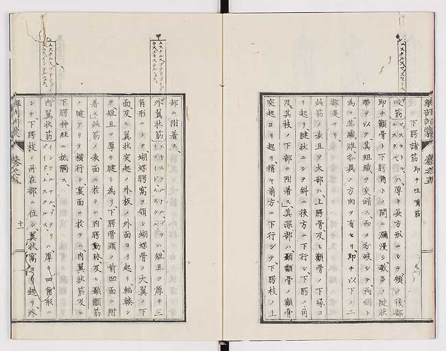 K0021s0146
