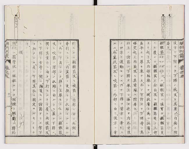 K0021s0147