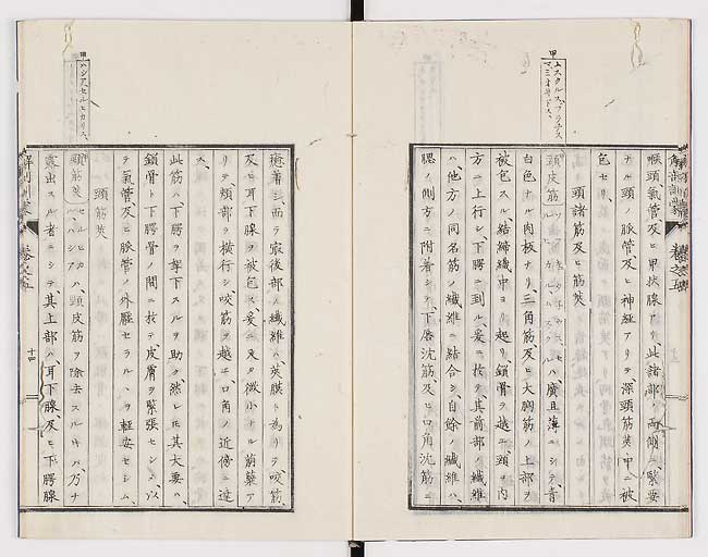 K0021s0149