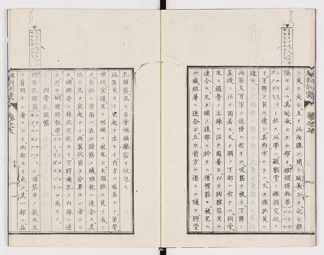 K0021s0150