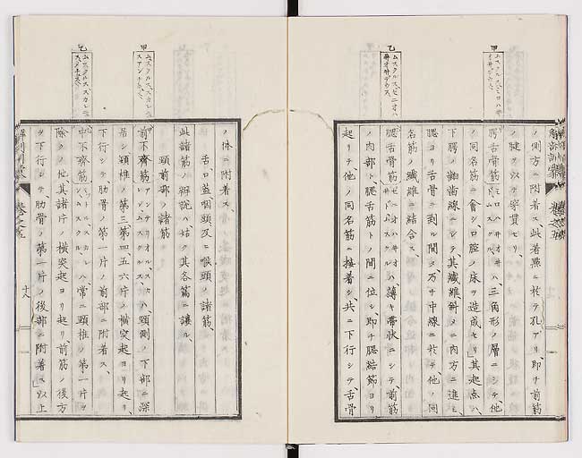 K0021s0153