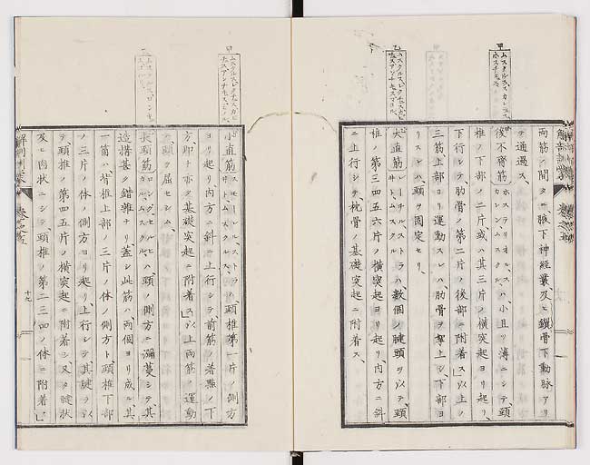 K0021s0154