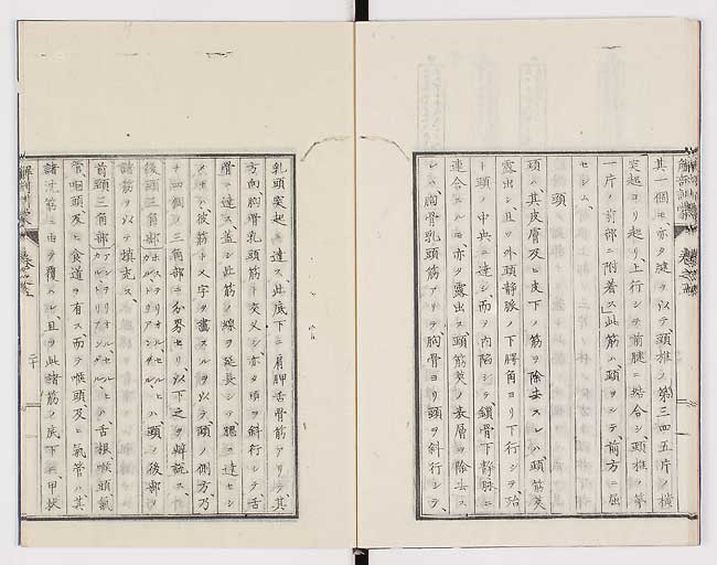 K0021s0155