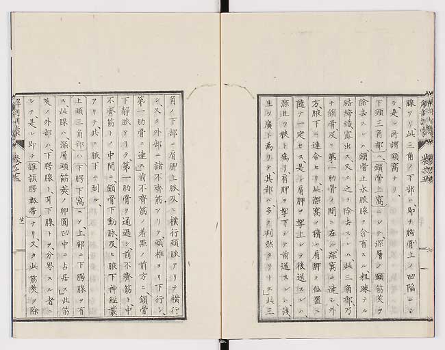 K0021s0156