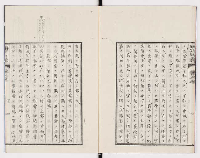 K0021s0158