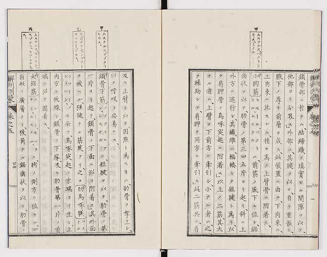 K0021s0159
