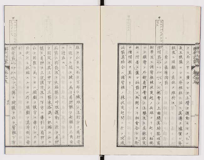 K0021s0161