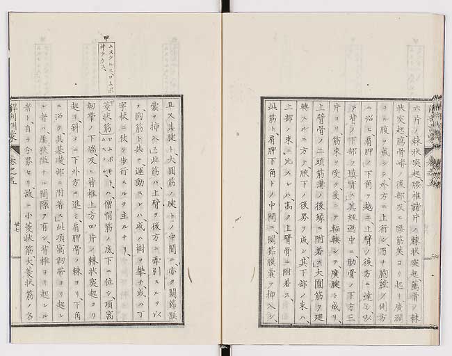 K0021s0162