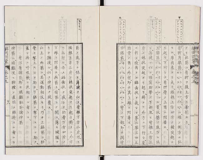 K0021s0163