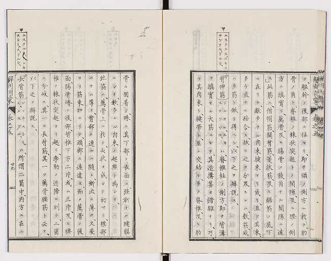 K0021s0164