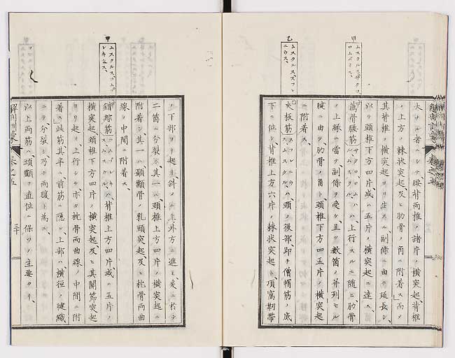 K0021s0165