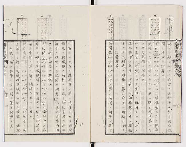 K0021s0168
