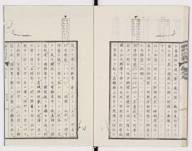 K0021s0169