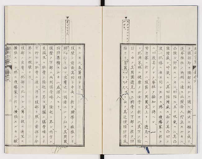 K0021s0174