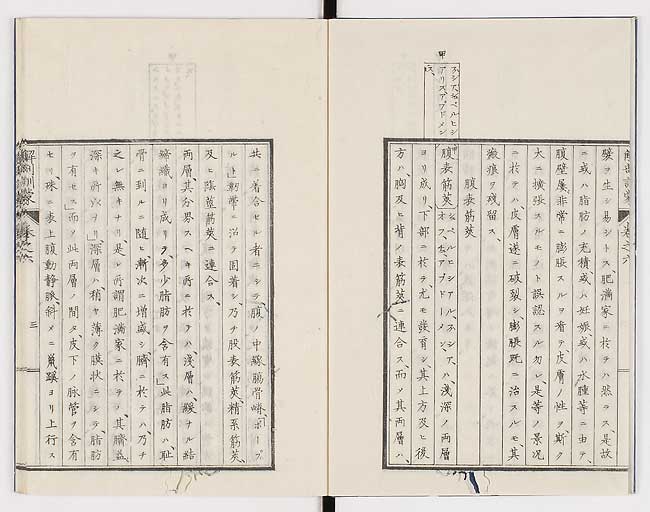 K0021s0175
