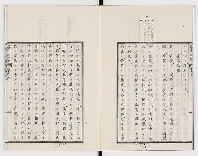 K0021s0176