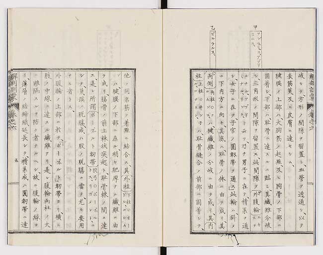 K0021s0177