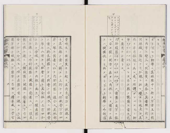 K0021s0178
