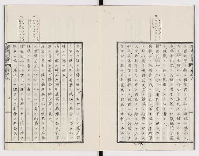 K0021s0179