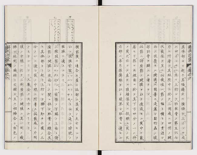 K0021s0180