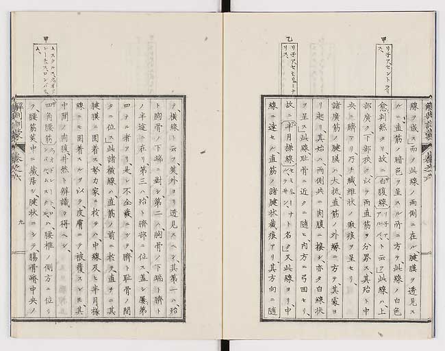 K0021s0181