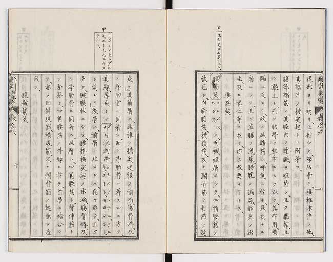 K0021s0182
