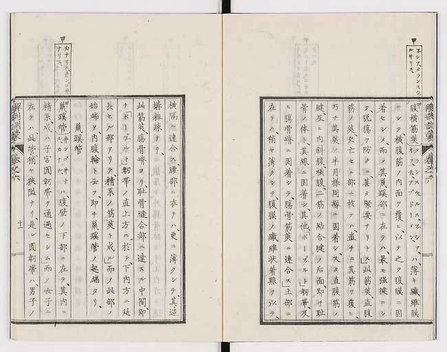 K0021s0183