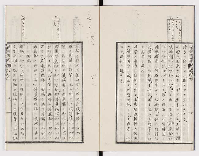 K0021s0184