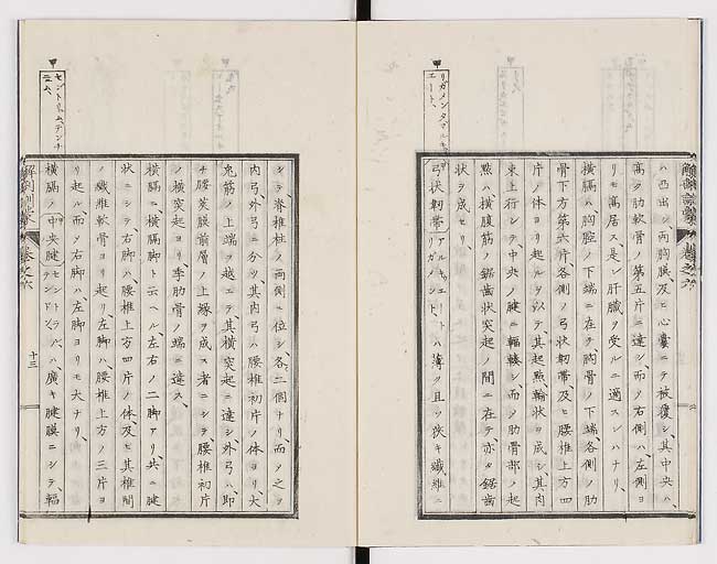 K0021s0185