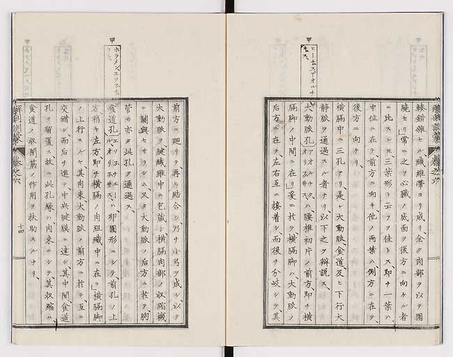 K0021s0186