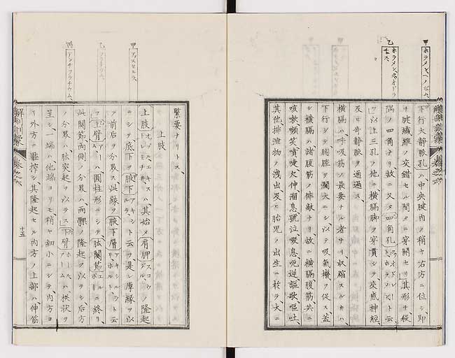 K0021s0187