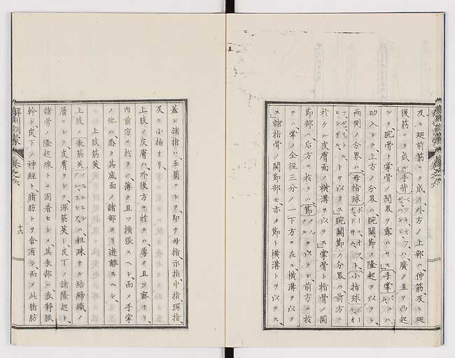 K0021s0188