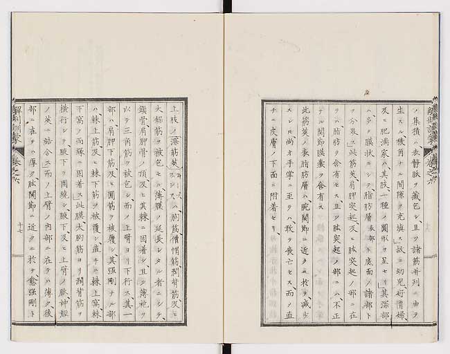 K0021s0189