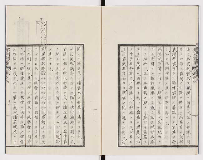 K0021s0190