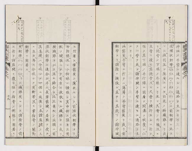 K0021s0191