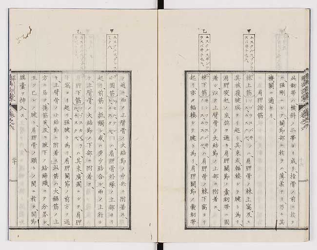 K0021s0192